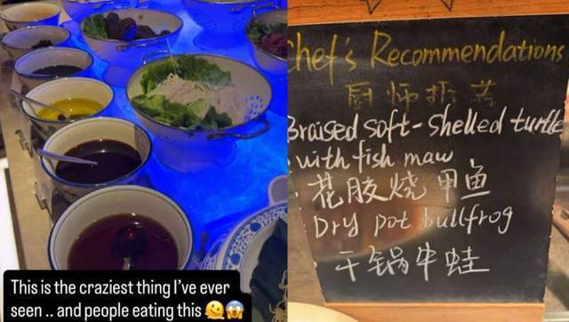 过视频分享, 告牌, 式料理的言