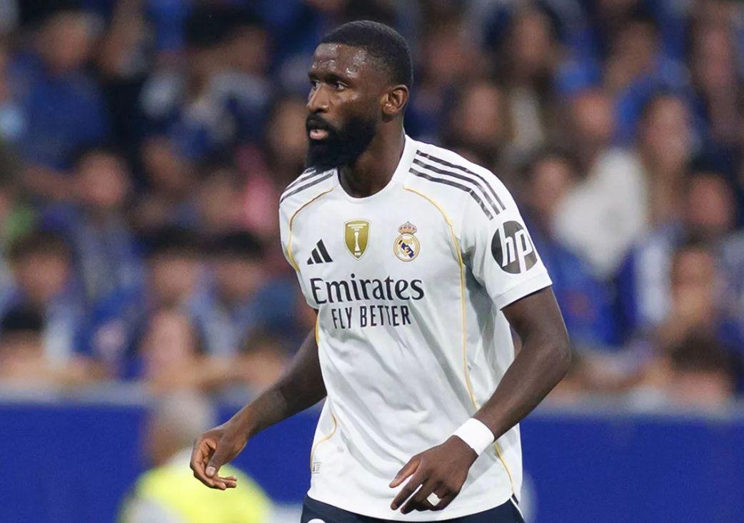 腿的股直肌 腿的股直肌